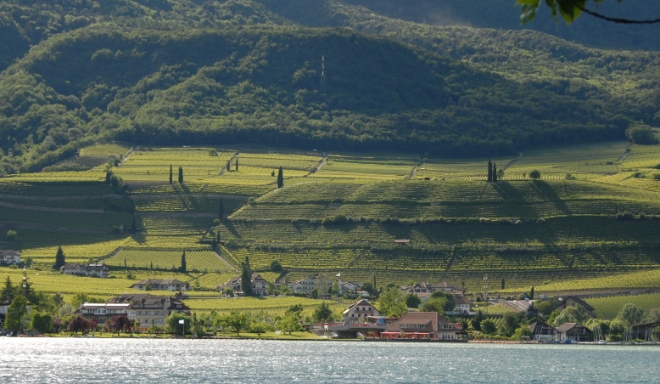 Alto Adige