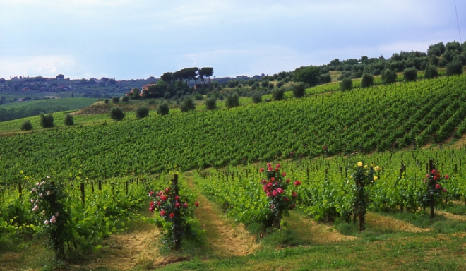 Toscana