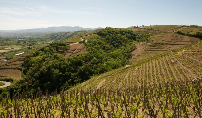 Côtes du Rhône