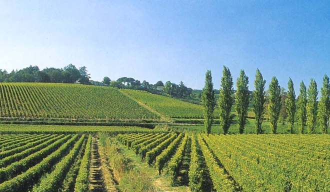 Bordeaux