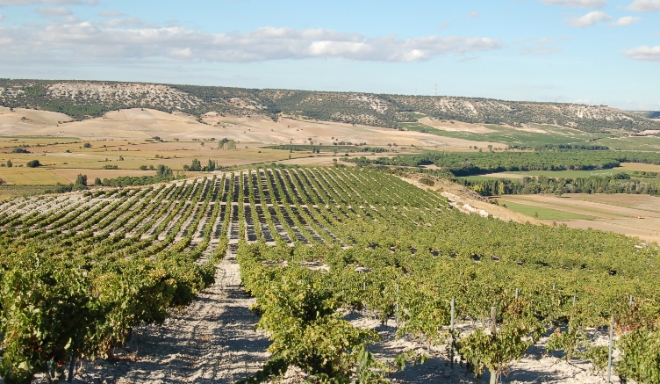 Ribera del Duero