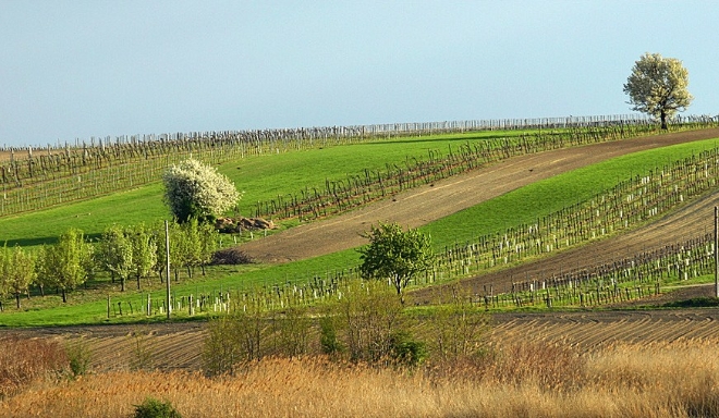 Carnuntum