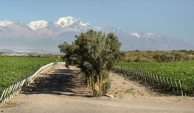 Mendoza