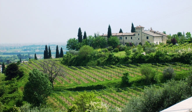 Azienda Agricola Tommaso Bussola