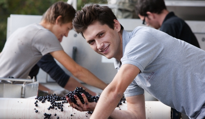 Weingut Hans Igler