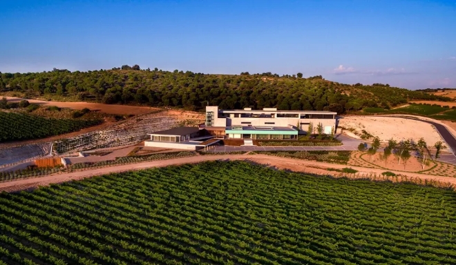 Bodegas Aalto
