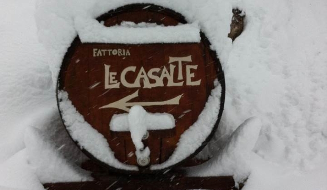 Fattoria Le Casalte