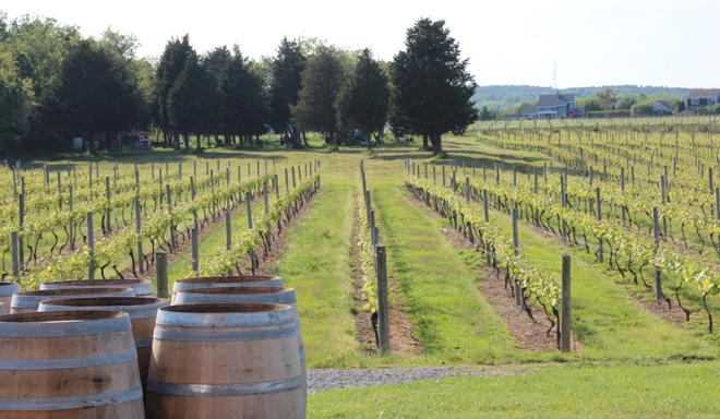 Bodegas Alvarez y Diez