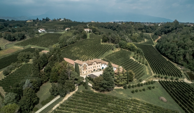 Serena Wines 1881