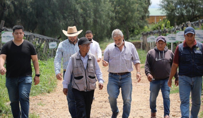 Cruce del Zorro