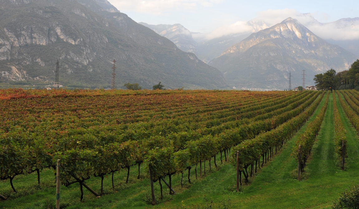 Trentino