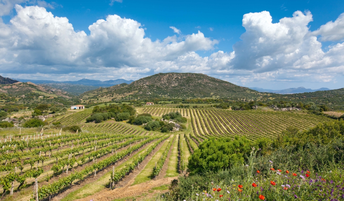 Sardegna