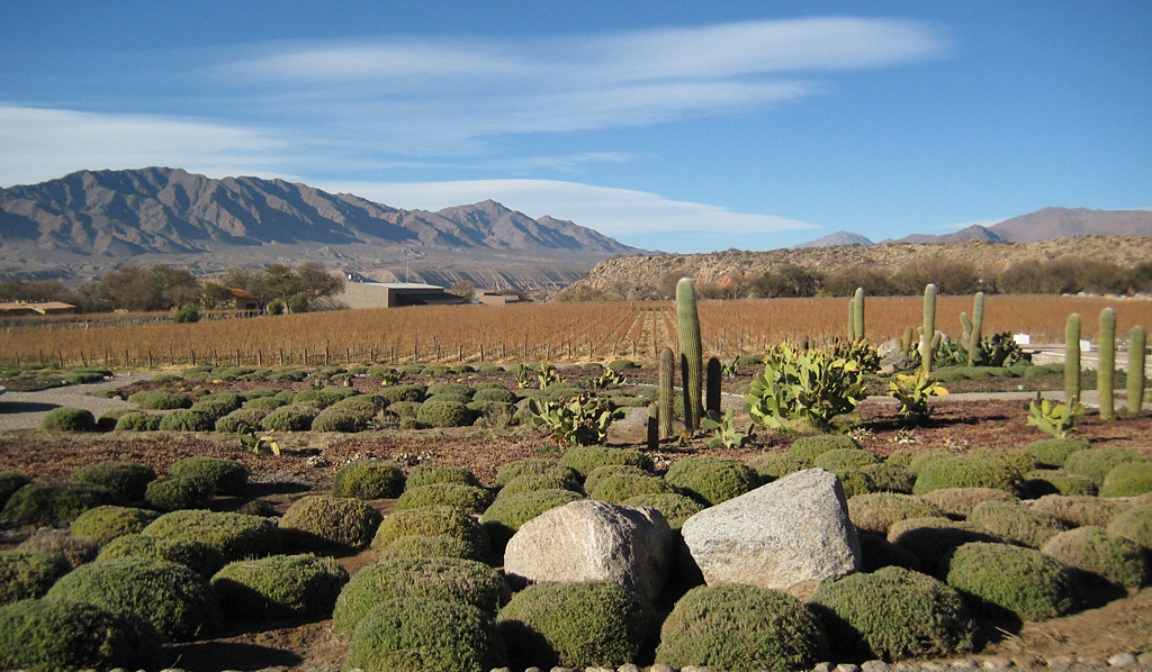 Calchaqui Valley