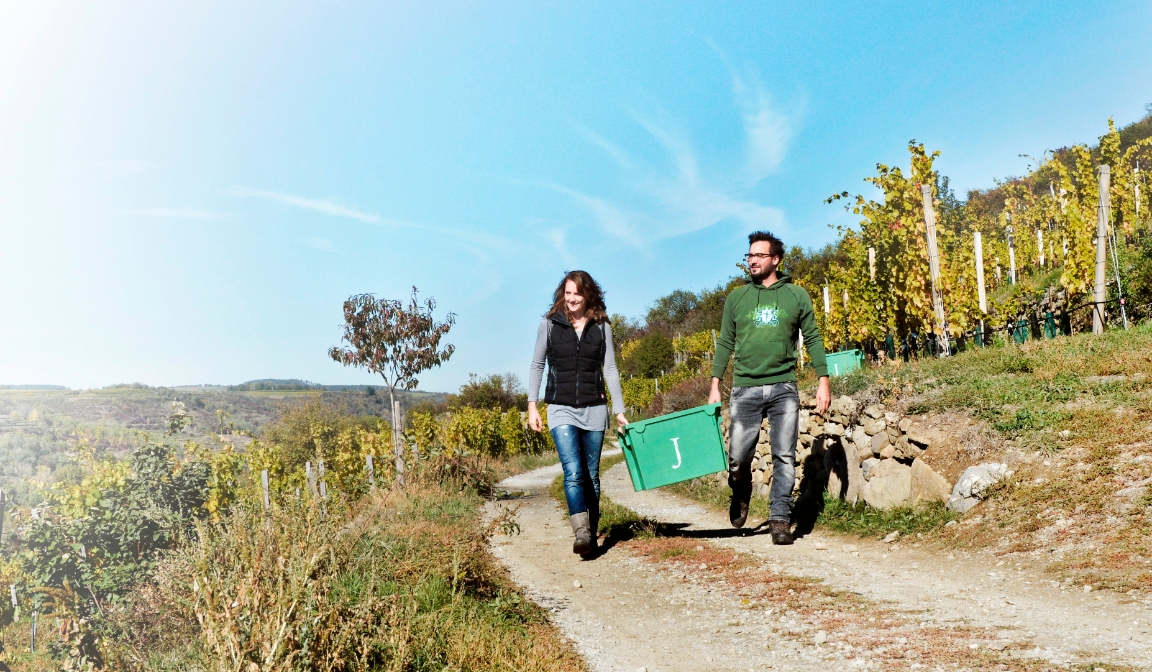 Weingut Jurtschitsch