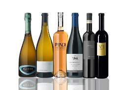 Bestsellers  0 Weinpaket Plozza Wine Group