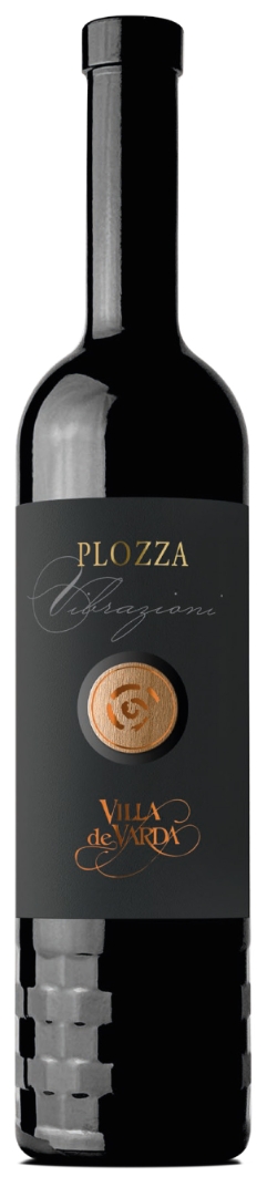 Vibrazioni IGT 2.018 Alpi Retiche Plozza