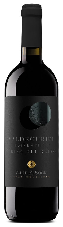 Tempranillo Ribera d. Duero DO 2.020 Valle dei Sogni