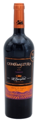 Cepas Altura Tannat 2.020 La Concepcion, Bolivien